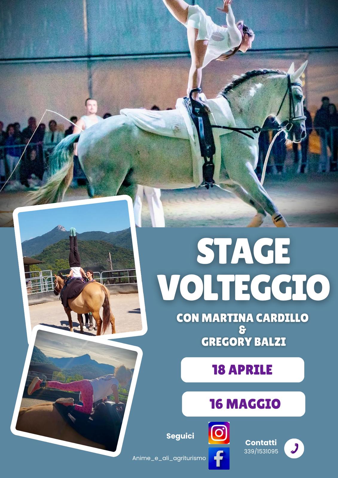 Locandina stage 1