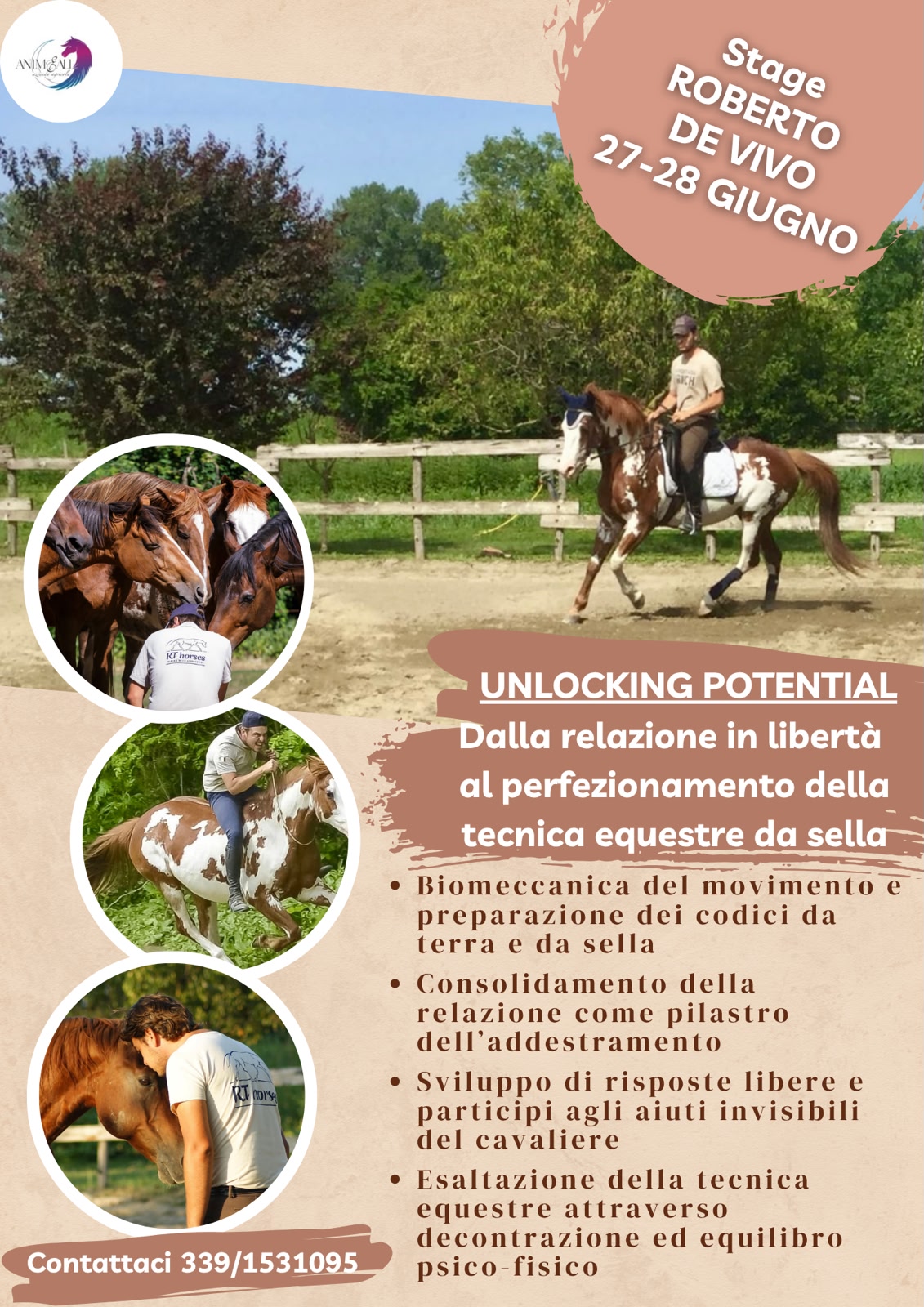 Locandina stage 3